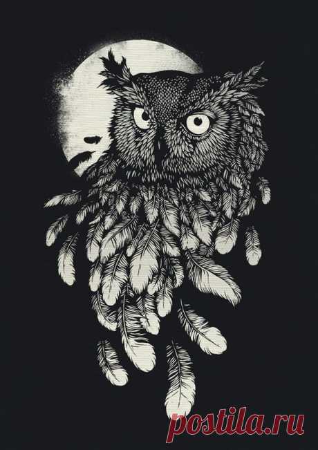 Графика. Цвет. Совушка-сова.