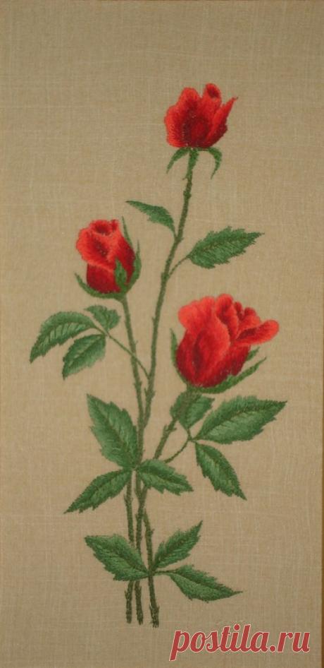 Яндекс.Фотки