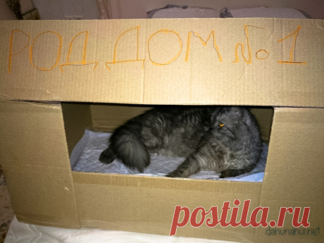 Интересная подборка фоток