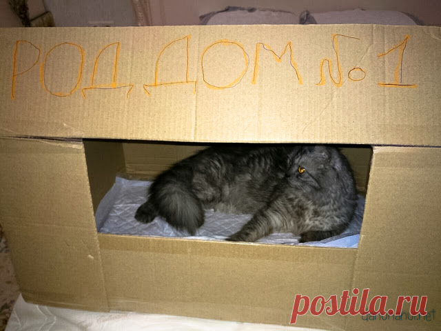 Интересная подборка фоток