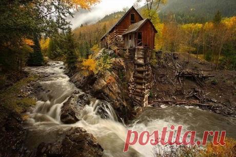 Нырнуть в мир природы с головой... / Туристический спутник