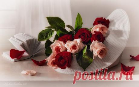 0_6d904_26333c7f_XXL.jpg (948×591)