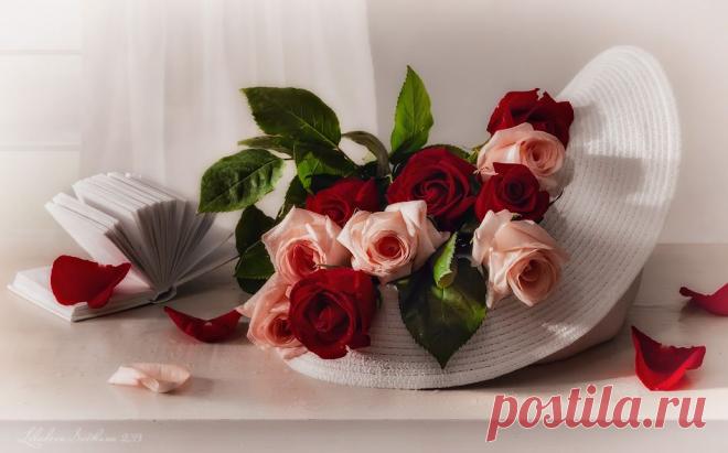 0_6d904_26333c7f_XXL.jpg (948×591)