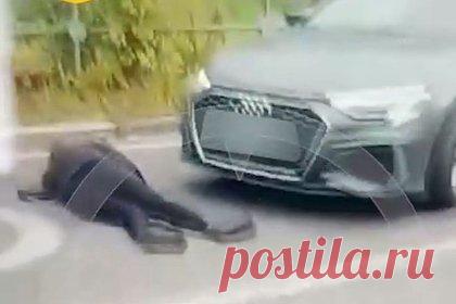 Переехавшая девушку под Москвой работница управляющей компании объяснилась. Сотрудница управляющей компании (УК), которая в подмосковном Щелково переехала на Audi жительницу, недовольную отсутствием отопления, объяснила свой поступок. Работница УК рассказала, что девушка, которую она переехала, сама упала под колеса автомобиля. Женщина уверяет, что не хотела никому причинять вред.