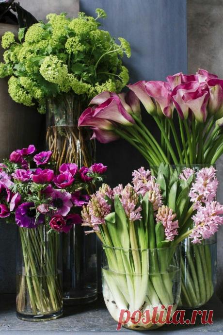 Fresh-Cut Flowers
