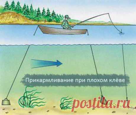 Прикармливание при плохом клёве