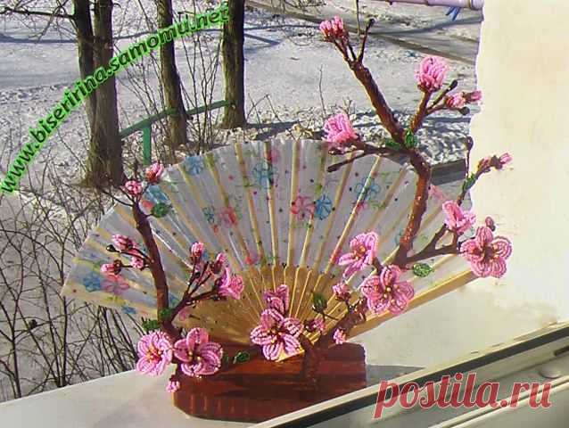 sakura_na_vesenem.jpg (638×480)