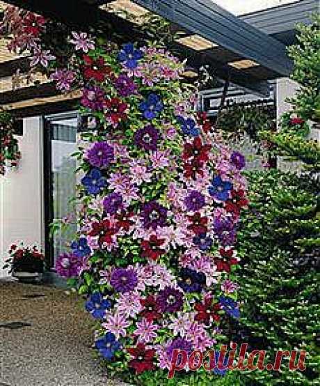 две ступени к прекрасному