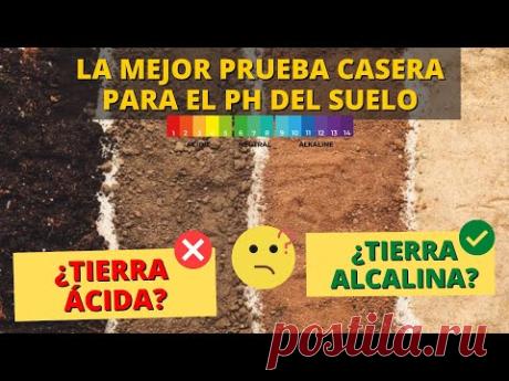 EL MEJOR Y MÁS FÁCIL TEST CASERO PARA MEDIR EL PH DEL SUELO | Corregir Tierra Ácida o Alcalina