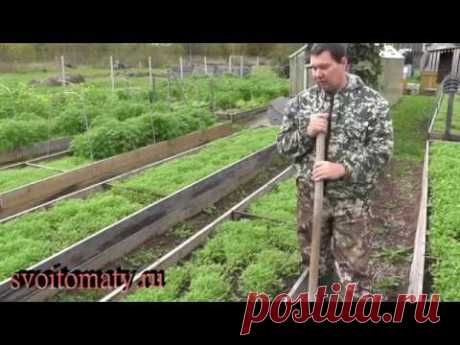 Подготовка грядок к осенним посевам