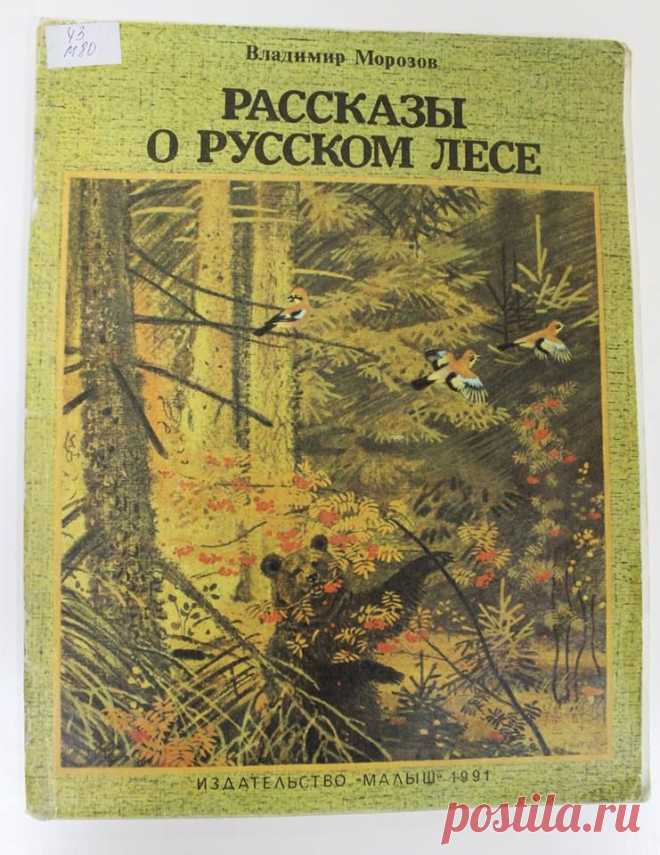 Экологический кружок «ЗЕМЛЯНЕ»