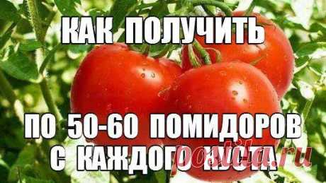 Женские посиделки - дети, рецепты, красота...)))