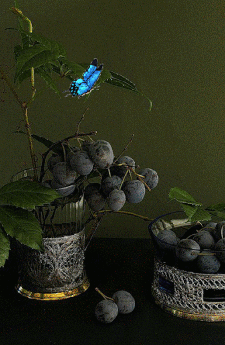 0_fa717_96a37099_orig.gif (346×532)