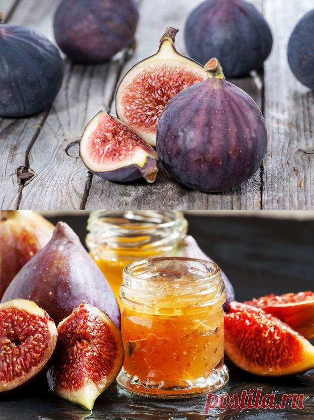 Все, что нужно знать об инжире