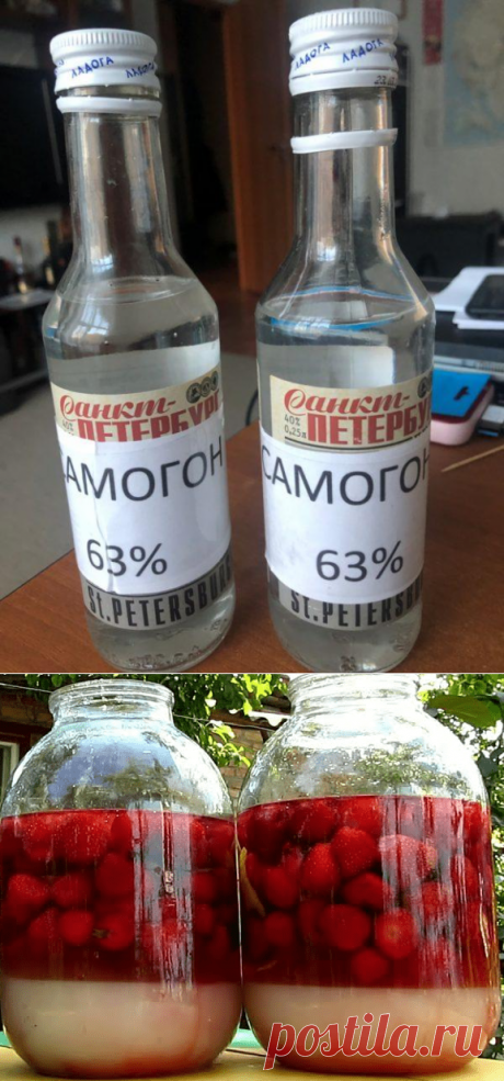 Надоели обычные настойки да браги, решил пустить в ход клубнику: делюсь 3 простыми рецептами клубничной наливки