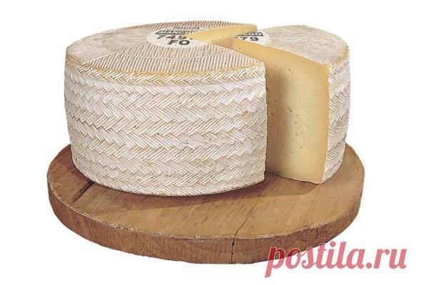 Сыр Манчего | Сыроделие в Беларуси