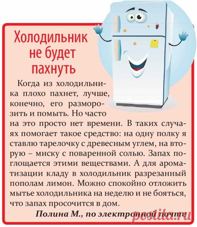 Холодильник не будет пахнуть