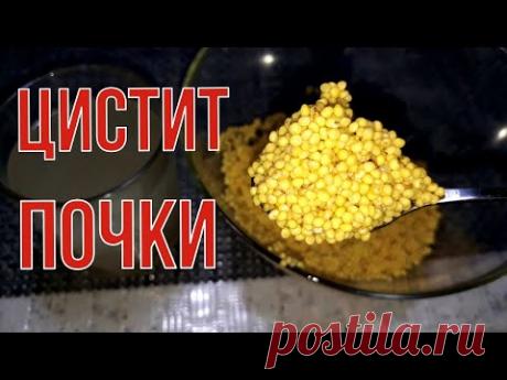 Целебная сила за копейки. Лекарство номер один. Цистит, почки.