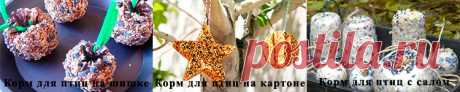Из чего можно сделать кормушку для птиц