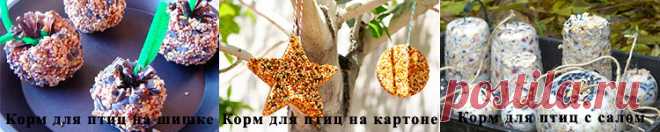 Из чего можно сделать кормушку для птиц