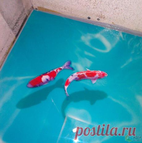 Сопряжение Т-образного порожка с эпоксидным наливным полом