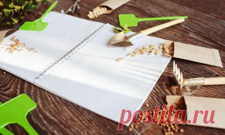 Обработка семян перед посевом: биопрепараты и химические средства