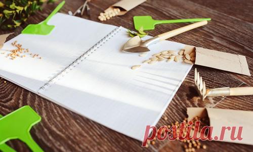 Обработка семян перед посевом: биопрепараты и химические средства