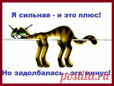 2 непрочитанных чата