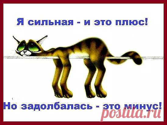 2 непрочитанных чата
