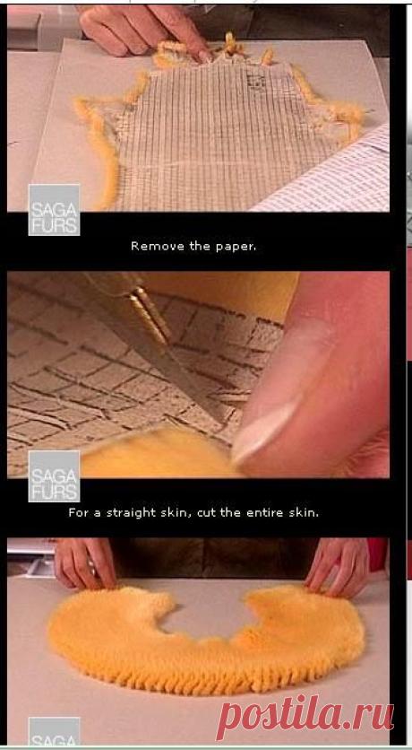 (65) Pinterest