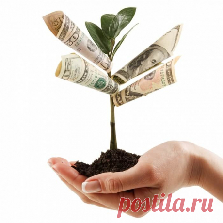 Современные денежные приметы и советы