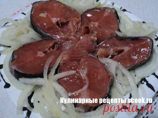 Рыба быстрого засола | Рецепты вкусных блюд