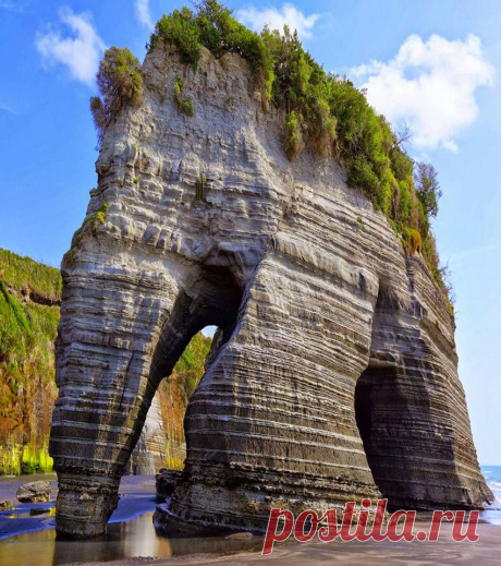 angelillo — Elephant Rock in New Zealand﻿