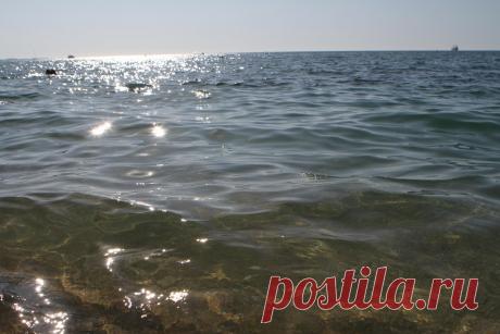 (50) Одноклассники