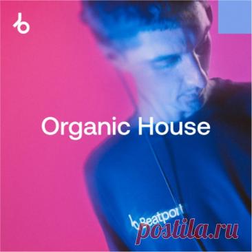 Beatport Closing Essentials 2025 Organic House November FLAC/MP3 » MinimalFreaks.co