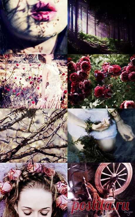 (2) Pinterest • Всемирный каталог идей