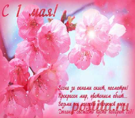 Одноклассники