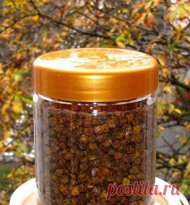 ЛЕЧЕНИЕ ПЕРГОЙ / Популярная медицина