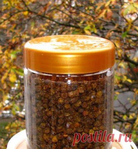 ЛЕЧЕНИЕ ПЕРГОЙ / Популярная медицина