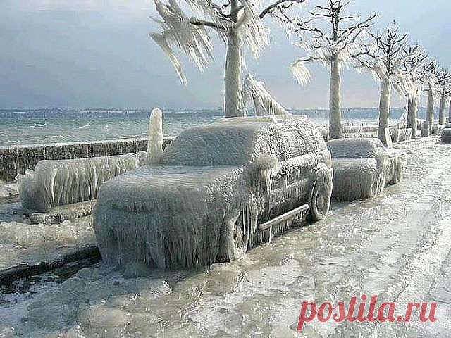 Сердце львицы. Взгляд волчицы !!! (Strong Woman).