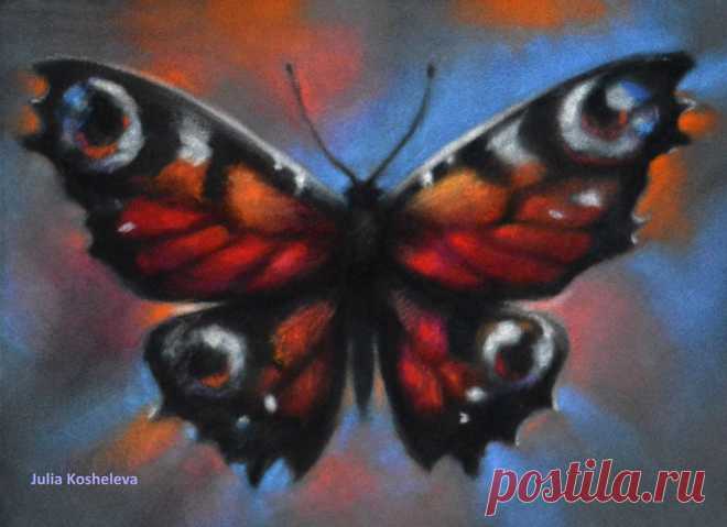 (6) Facebook