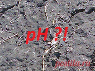 Определение кислотности почвы | Свой домик в деревне