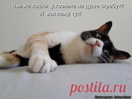 Обо всем