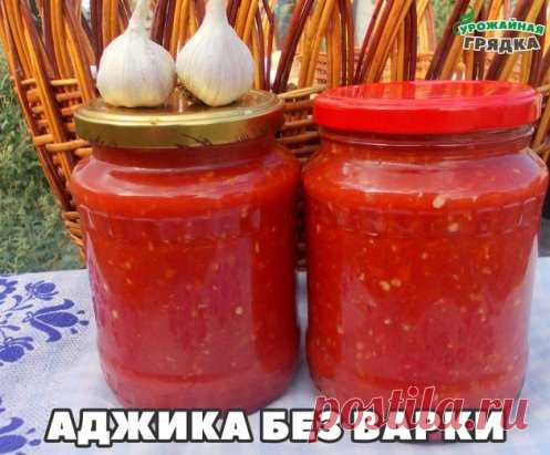 АДЖИКА БЕЗ ВАРКИ
помидоры — 4 кг
перец болгарский — 1,5 кг
перец чили — 3 шт.
чеснок — 200 г
уксус (9%-ый) — 200 мл
соль — 2 ст.л.
Как приготовить холодную аджику из перца:
1. Помидоры сначала вымоем, а затем обсушим.
2. Перец болгарский точно так же как и помидоры, вымоем и обсушим.
3. Теперь обрежем болгарским перцам плодоножки. А вот семечки можно не удалять. И это большой плюс, ведь они придают очень своеобразный вкус аджике!
4. Подготовим перчик чили и чеснок. У перца чили срезаем плодон