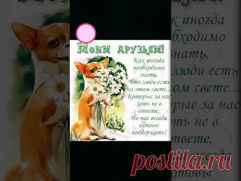 МОИМ ДРУЗЬЯМ ! ... ХОЧУ, ЧТОБ СЧАСТЬЕ УЛЫБАЛОСЬ ВАМ !!! ,,, ❤💐❤ #моимдрузьям #пожелание