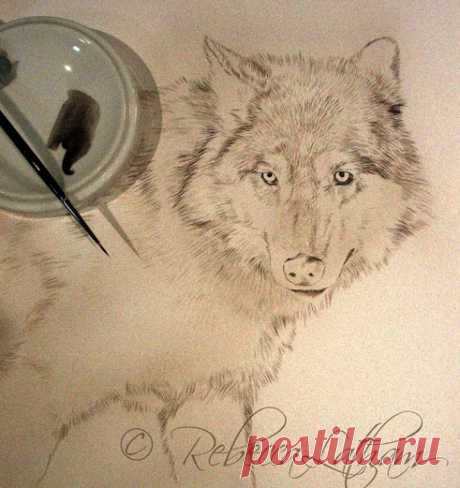 Новинки на мольберте – миниатюра волка 9×12 | Картины дикой природы и природы Ребекки Лэтэм