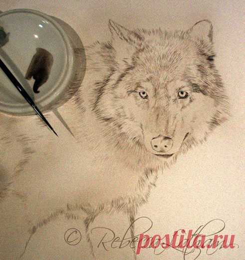 Новинки на мольберте – миниатюра волка 9×12 | Картины дикой природы и природы Ребекки Лэтэм