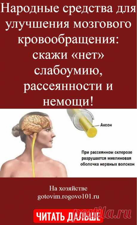 Народные средства для улучшения мозгового кровообращения: скажи «нет» слабоумию, рассеянности и немощи!