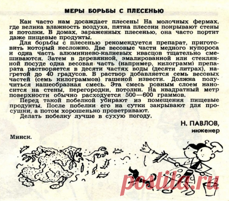 Меры борьбы с плесенью