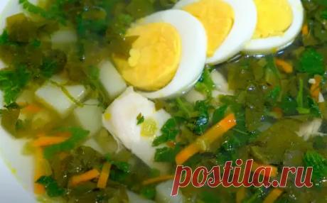 Ваше тело будет вам благодарно, если вы приготовите Зеленый борщ "в +45 жары" по рецепту из СССР - Будет вкусно - Медиаплатформа МирТесен